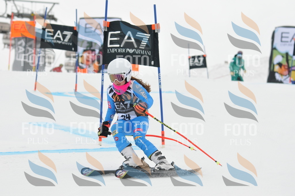 DSC_7586 | holidayphoto