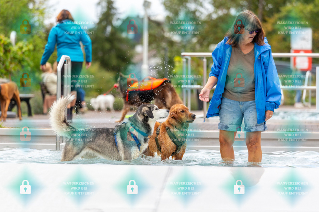 _HP_6251_1000o | HetPix, HetPix Fotodesign, Fotografie, Fotodesign, Webshop, Sportfotografie, Portraitfotografie, Onlineshop, Sportfotografie, Polch, Motorsportfotografie, Eventfotografie