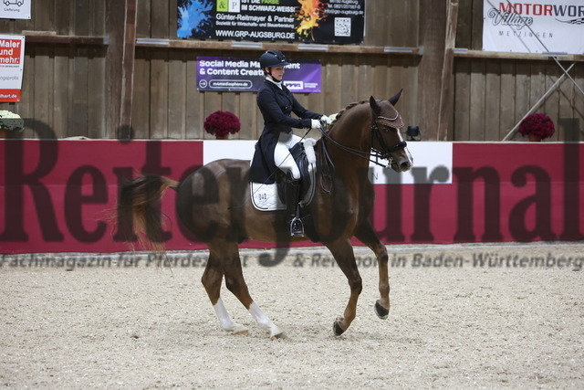Reutlingen_2024_Prfg.Nr.04_Intermediaire I_Kür_Leonie Moll_Equidiamonds Bright Bellini (14) | Alle Fotos der Reiterjournal Fotografin Doris Matthaes im Reiterjournal Online-Fotoshop. - Realisiert mit Pictrs.com