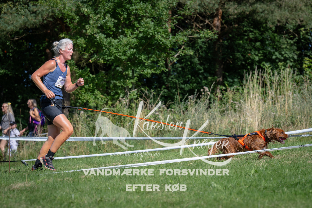 1052_ZZ99334 | kk-dogfotos