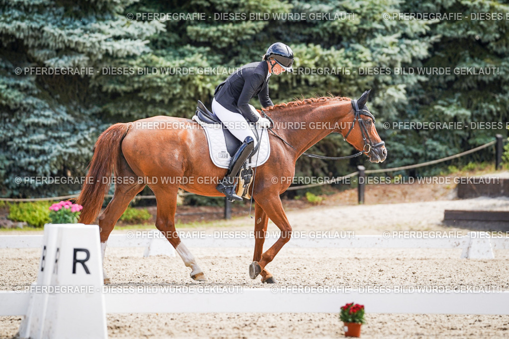 DSC00068 | Pferdegrafie