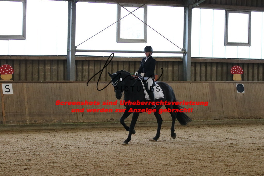 IMG_8633 | lmwpictures - Realisiert mit Pictrs.com