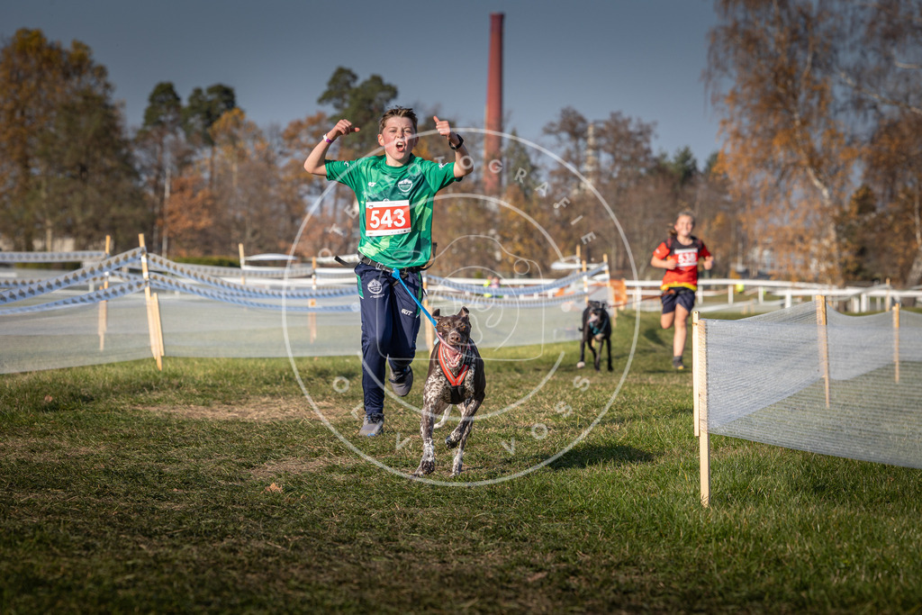 CaniXpix_0L8A8980 | Hundefotografie, Tierfotograf, Pfotenfotografie, Fotoshooting Hund, Hunde Portrait, Hundesport, Hundeportraits, Heideshooting, Hunde, Sportfotograf, Hundefotograf, Turnierhundsport, THS,  - Realisiert mit Pictrs.com