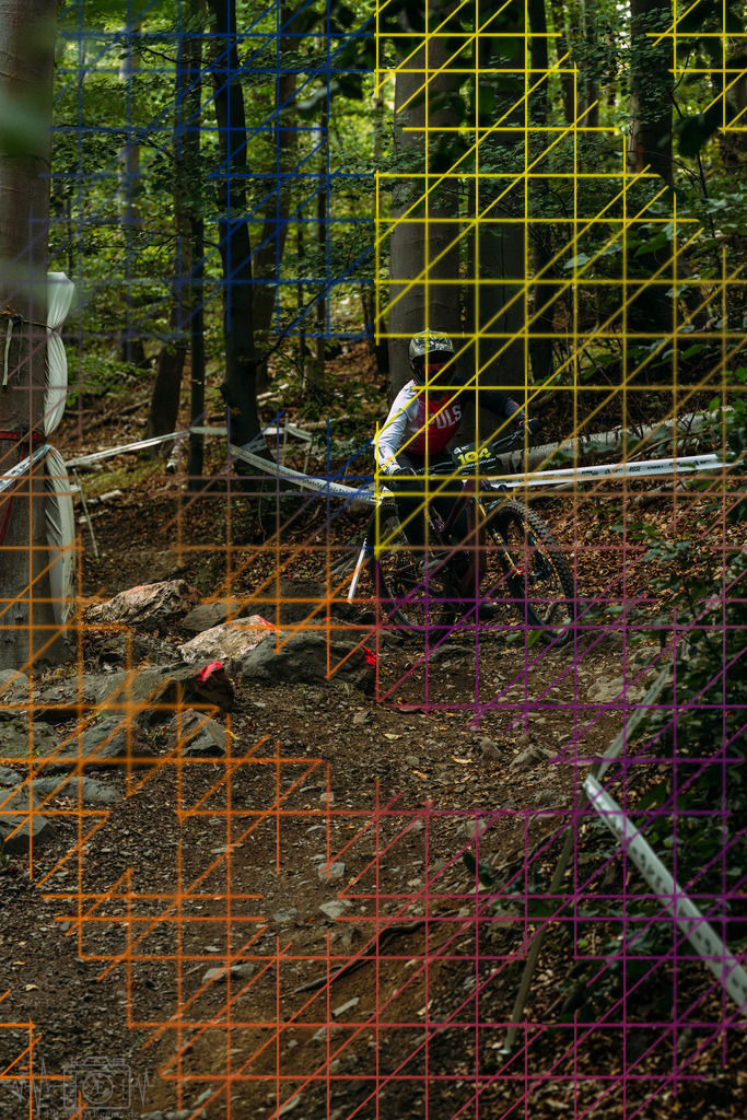 PAE-1182 | Einzigartige Fotokunst für dein Zuhause: Entdecke hochwertige Wandbilder, edle Prints und emotionale Motive von Wildlife, Natur und Landschaften - Realisiert mit Pictrs.com