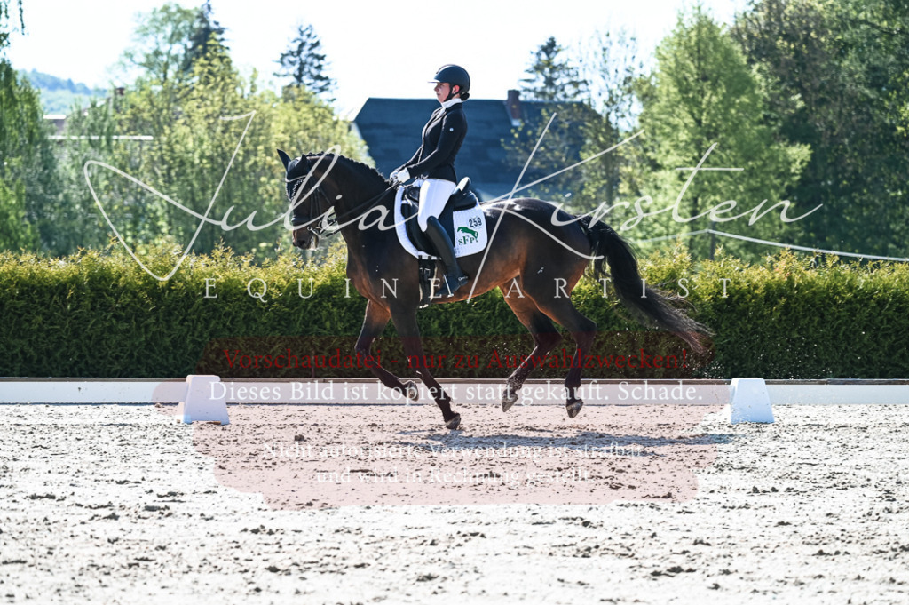 20230514_JK-Röhrsdorf-18-364 | Pferde- und Turnierfotografie in Westsachsen. Pferdeportraits, Auftragszeichnungen und intuitive Kunst.