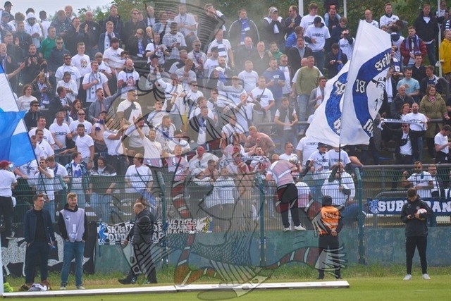 BFC Dynamo vs. VfB Oldenburg 048 | mythos-online-redaktion