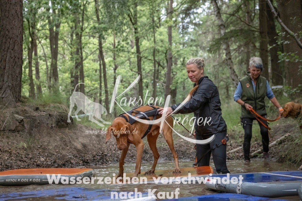 0928_ZZ92419T | kk-dogfotos