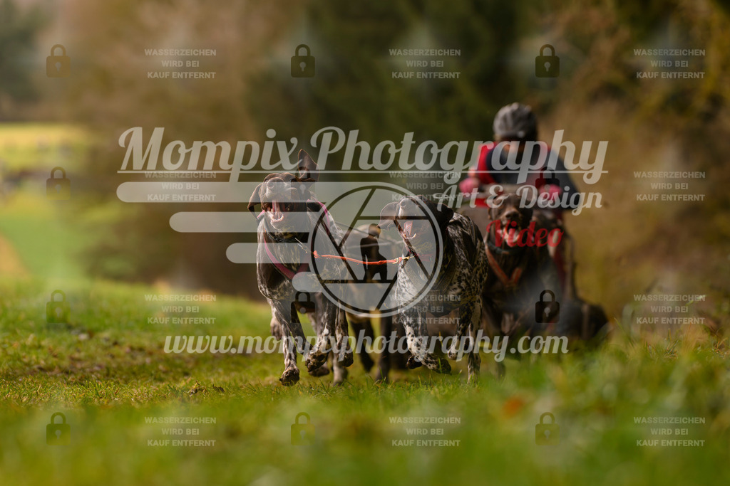 MompixPhotography_2SSTSSBW_2025_SO_Kart-37 | PayLife