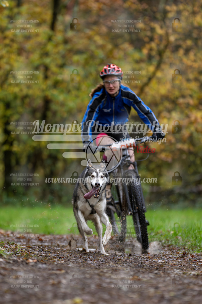 MompixPhotography_Bischwiller23_Bike-8 | PayLife
