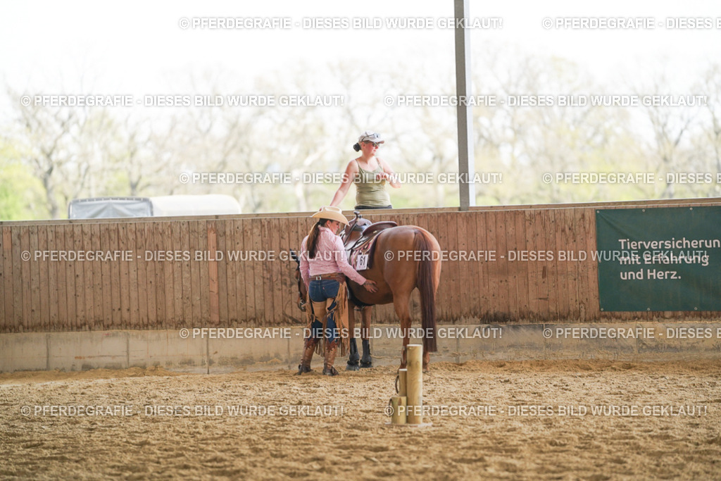 DSC02150 | Pferdegrafie