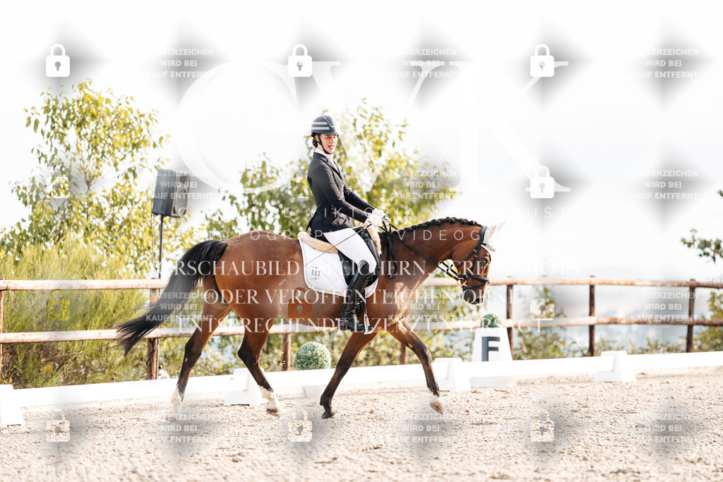 CK900388 | Turnierfotografie Pferdefotografie Trier Rheinland-Pfalz Pferdesport Reitsport Tierfotografie Sportfotografie Pferdevideo Pferdevideografie Equestrianvideography equestrianphotography  - Realisiert mit Pictrs.com
