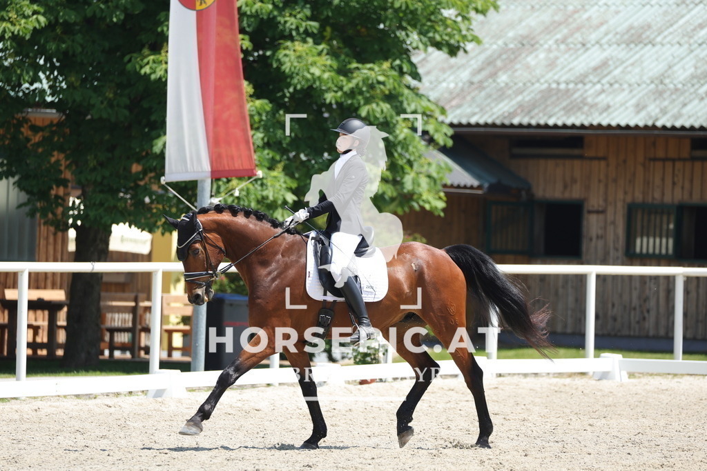 0P6A1622 | Willkommen bei Brunnmayr - Design & Fotografie – Ihrem Spezialisten für Reitturniere und Pferdeveranstaltungen in Oberösterreich, Salzburg und Bayern! Seit über 17 Jahren sind wir leidenschaftlich dabei.