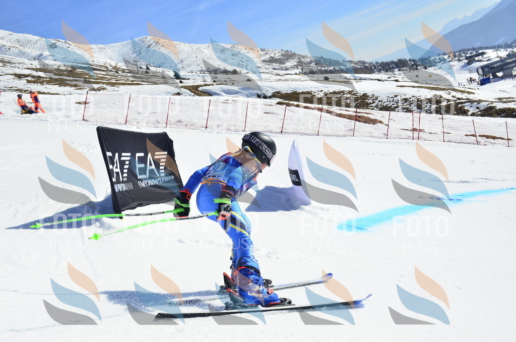 _ELE9973 | holidayphoto