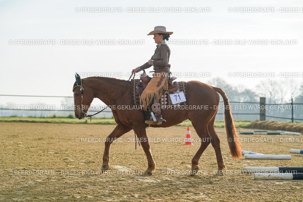 DSC09750 | Pferdegrafie