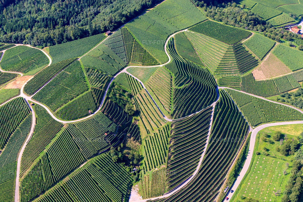 Luftbild: Weinbergsteilhänge am Büchelbach in Kappelrodeck im Bundesland Baden-Württemberg in Deutschland. Foto: IMG_31504.jpg vom 09.08.2010 durch Werner Riehm/FLY-FOTO.de