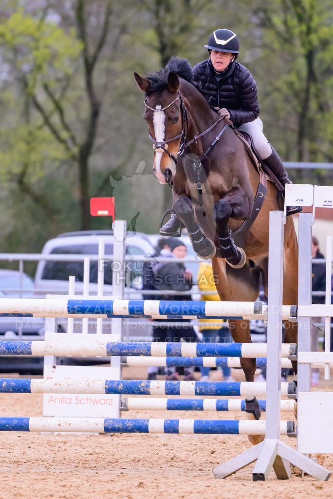 10042026-Mammendorf-Prfg19-0641 | Fokus Hufschlag Fotografie - Realisiert mit Pictrs.com