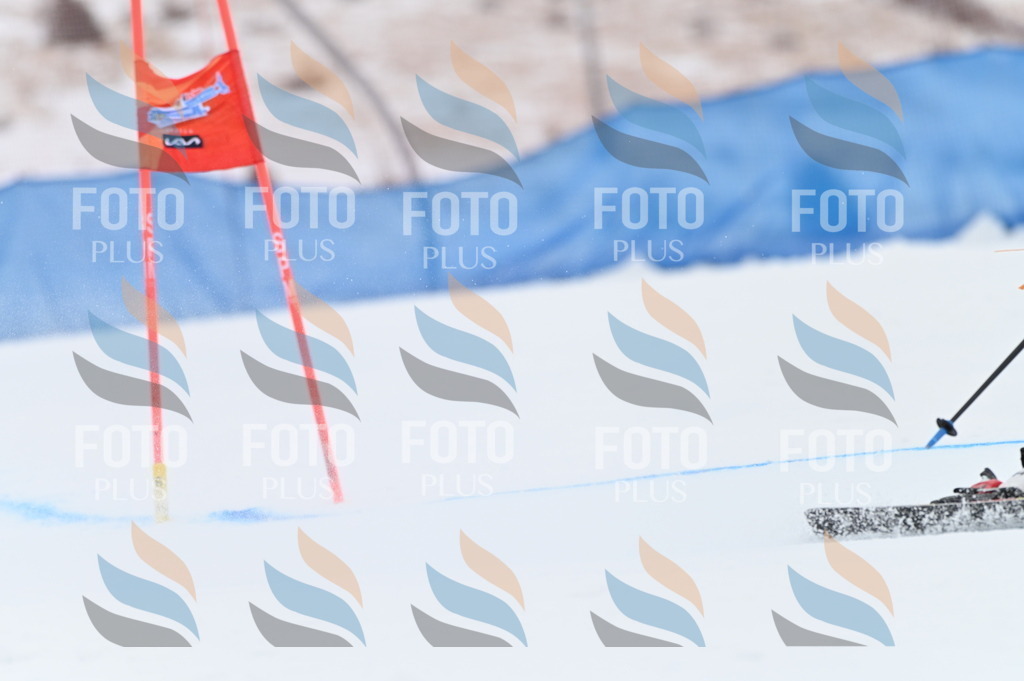 BGV_2988 | holidayphoto