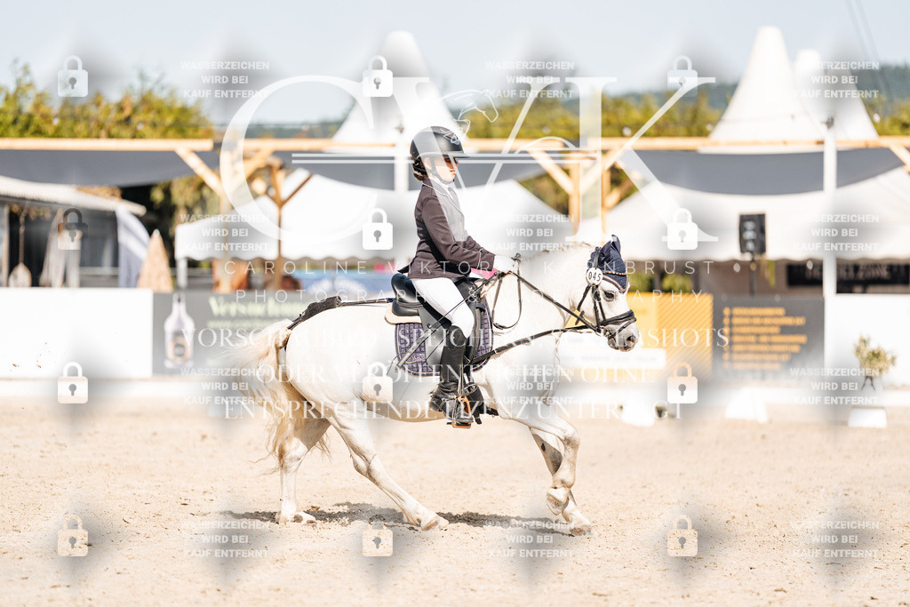 CK905737 | Turnierfotografie Pferdefotografie Trier Rheinland-Pfalz Pferdesport Reitsport Tierfotografie Sportfotografie Pferdevideo Pferdevideografie Equestrianvideography equestrianphotography  - Realisiert mit Pictrs.com