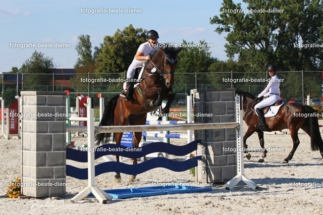 OHT 2022 Röhlingen (125) | Fotografie, Tiere, Hunde, Katzen, Pferde, Sportfotografie, Fotosession, Tierfotografie, Turnierfotografie, Fotografin, Fotograf - Realisiert mit Pictrs.com