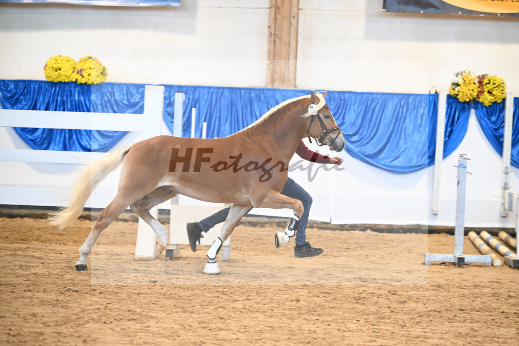Kat-Nr. 34 nn v. Starino I_Grimminger_48250713 | hf-fotografie - Realisiert mit Pictrs.com