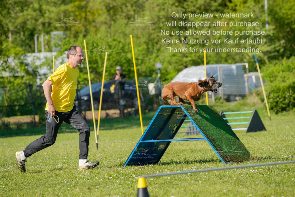 Sa_CSC-292 | stephaniefillaphotographie - Realisiert mit Pictrs.com