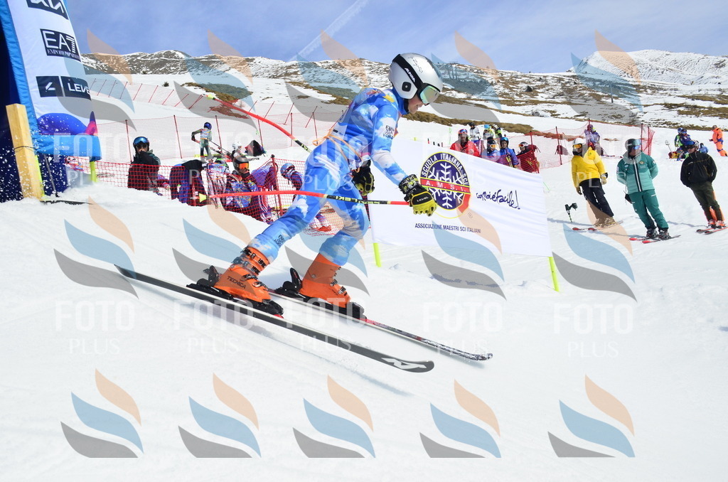 _ELE1628 | holidayphoto