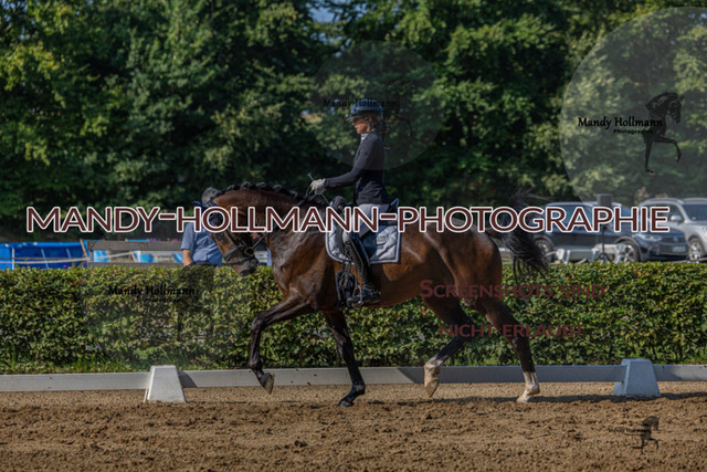 15.8.25 D1 RPF 3j (227 von 255) | mandyhollmannphotographie