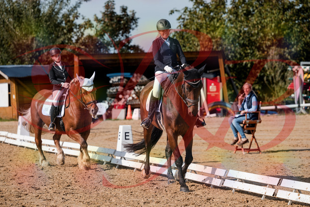 2026_10_03_Siefer-Hof_130422_Z63_67028902 | Professionelle Reitsport-, Turnier- und Eventfotografie von Robert Broda. Galerien mit ausgewählten und bearbeiteten Bildern direkt online ansehen und bestellen.