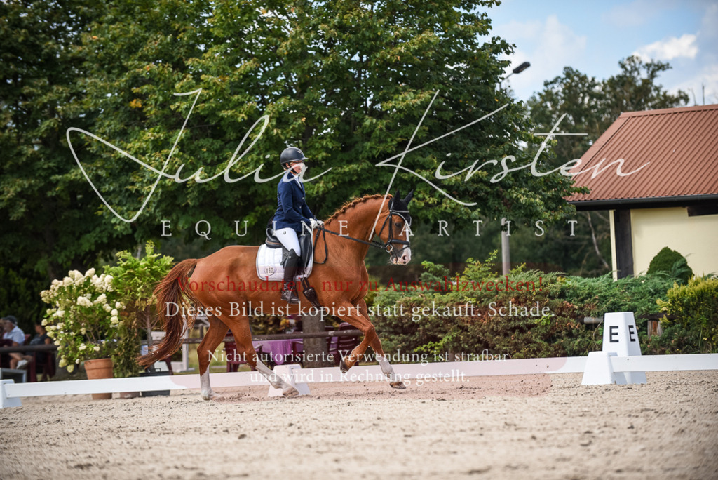 DSC_9238 | Pferde- und Turnierfotografie in Westsachsen. Pferdeportraits, Auftragszeichnungen und intuitive Kunst.