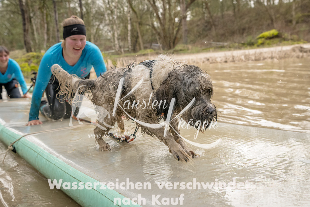 1341_ZZ90488-Bearbeitet | kk-dogfotos