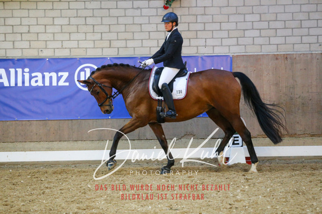 IMG_2979 | Turnierfotos kaufen im Webshop von Daniel Kuhl Photography – entdecke professionelle Reitsportfotos aus Turnieren & Events. Hochwertige Turnierbilder online bestellen & sichern. Jetzt Fotos von Reitsportturnieren kaufen!