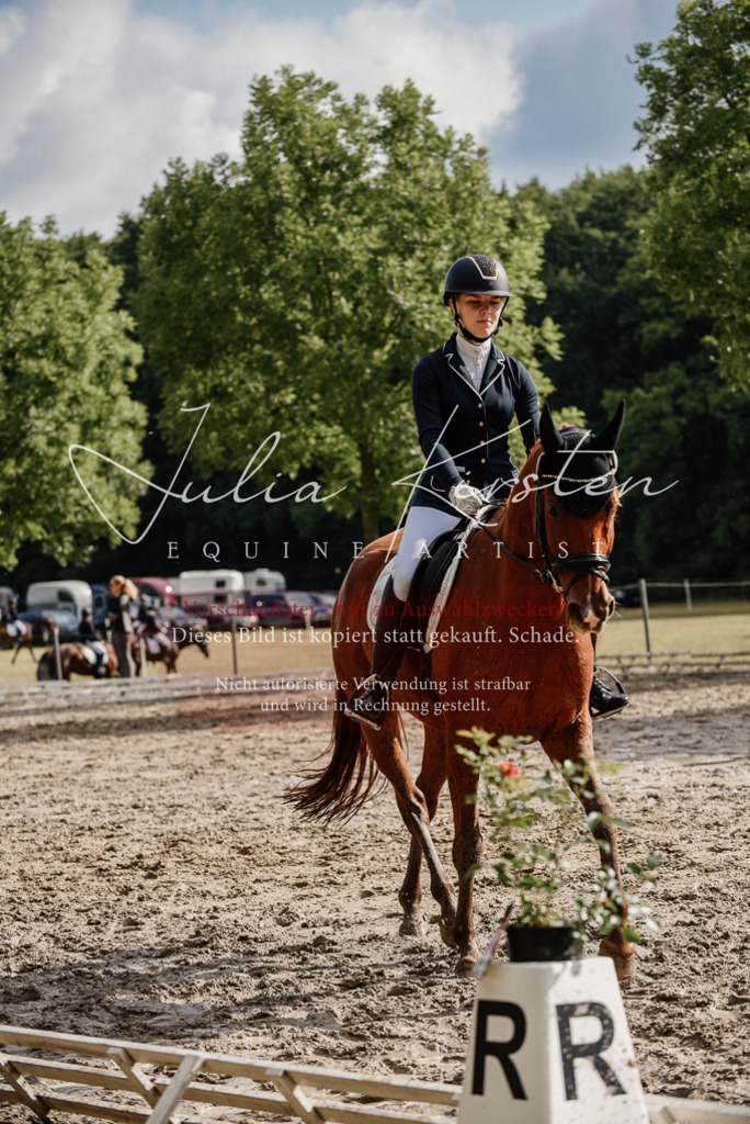 DSC_8918 | Pferde- und Turnierfotografie in Westsachsen. Pferdeportraits, Auftragszeichnungen und intuitive Kunst.