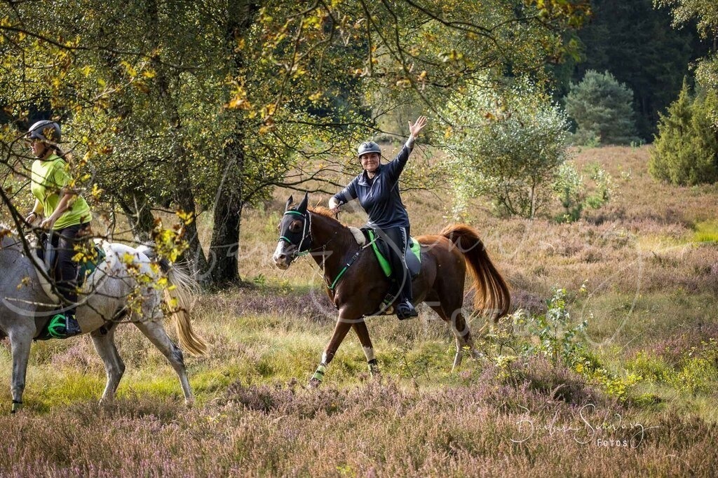 DdLH-WehlenerHeide_2025-09-20_33 | Fotografie, Veranstaltungs-Fotografie, Pferde-Fotografie, Landschafts-Fotografie, Reise-Fotografie - Realisiert mit Pictrs.com