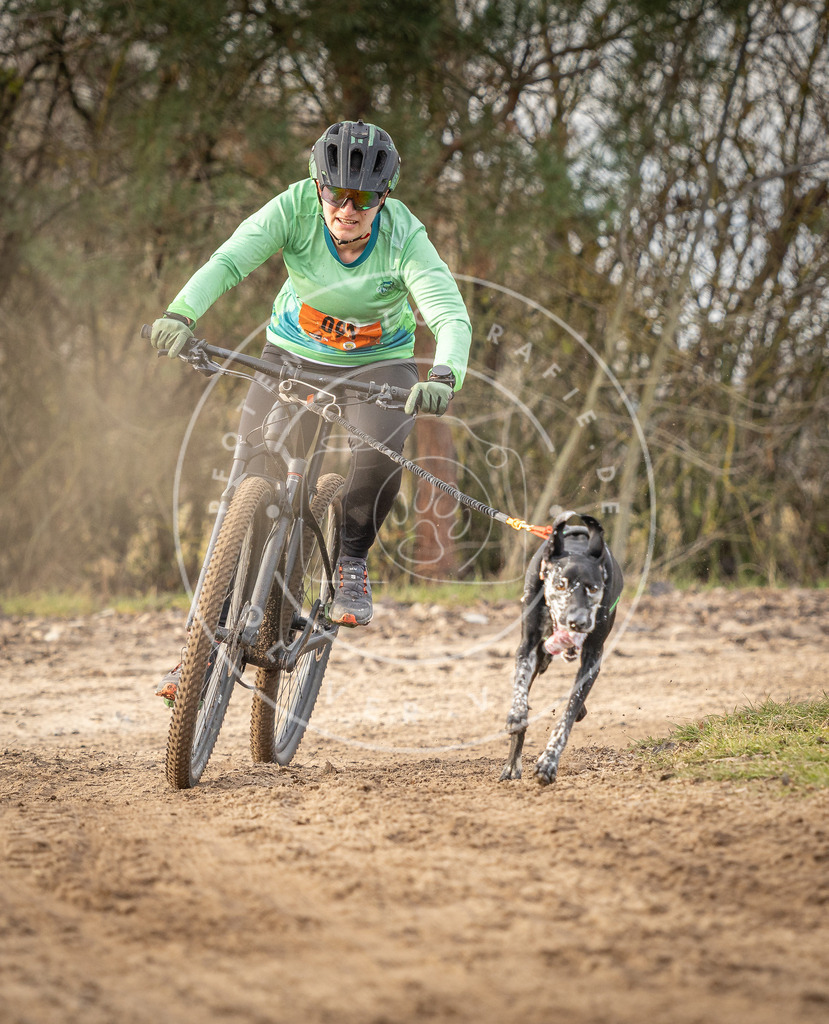 Pfotenfotografie_DV3A7670 | Hundefotografie, Tierfotograf, Pfotenfotografie, Fotoshooting Hund, Hunde Portrait, Hundesport, Hundeportraits, Heideshooting, Hunde, Sportfotograf, Hundefotograf, Turnierhundsport, THS,  - Realisiert mit Pictrs.com