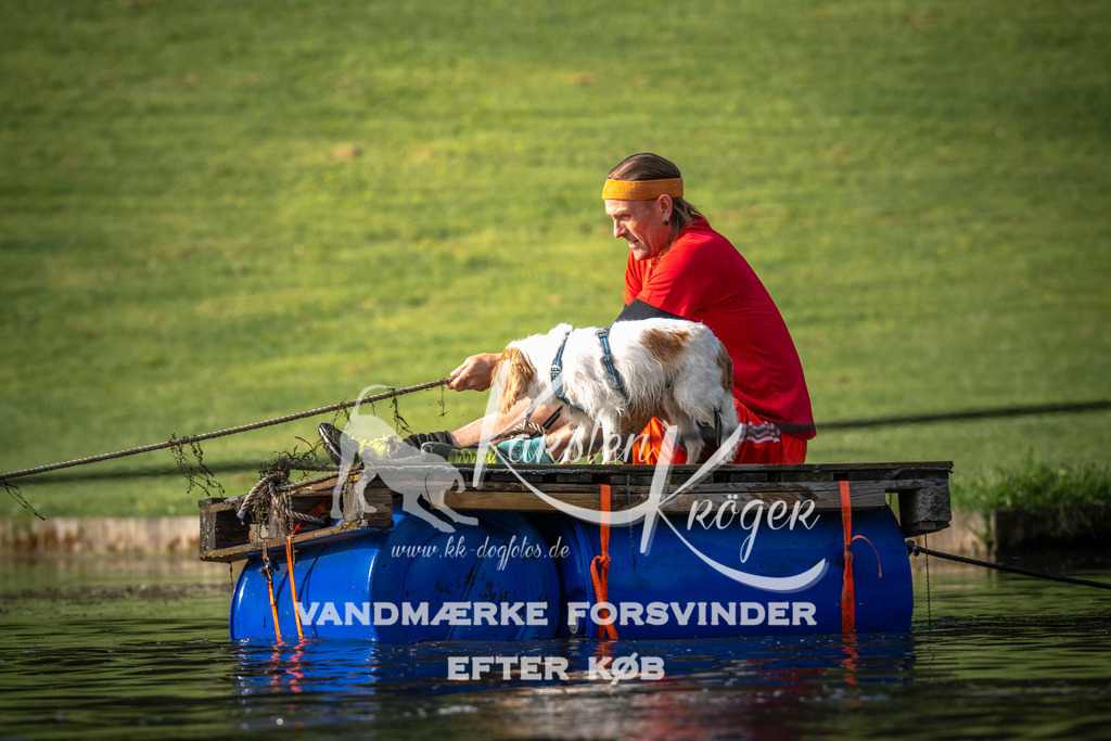 _ZZ938920709 | kk-dogfotos