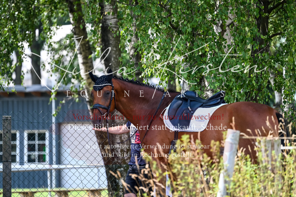 DSC_2712 | Pferde- und Turnierfotografie in Westsachsen. Pferdeportraits, Auftragszeichnungen und intuitive Kunst.