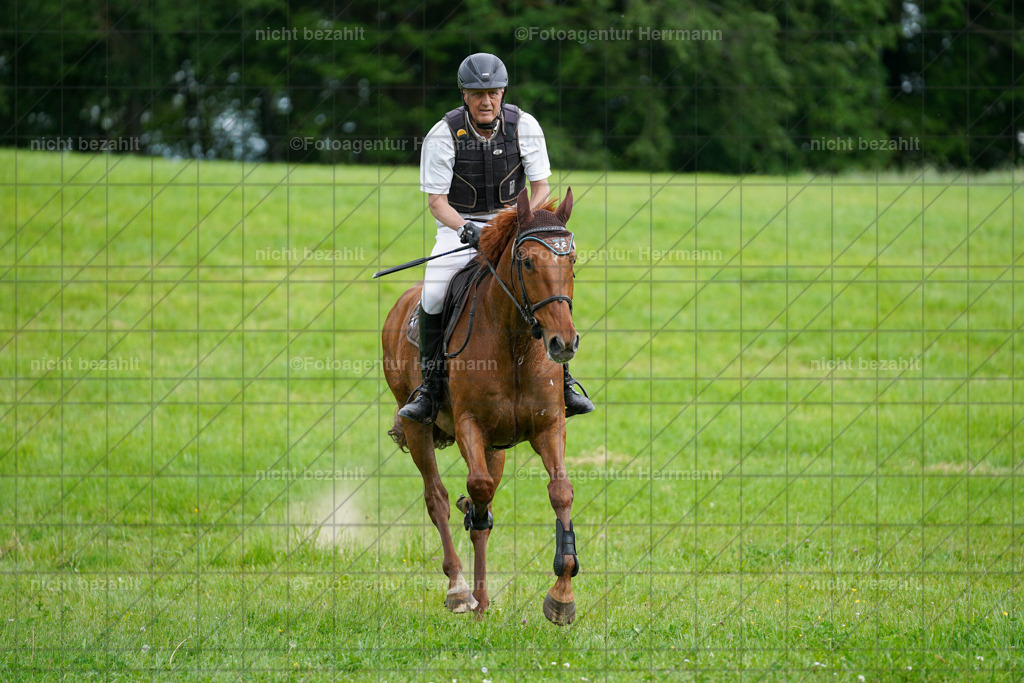 20240518-FAH03694 | Turnierbilder von Niederseon, Turnierfotografen Bayern, Fotoagentur Herrmann, Geländebilder, Reitsportfotografie