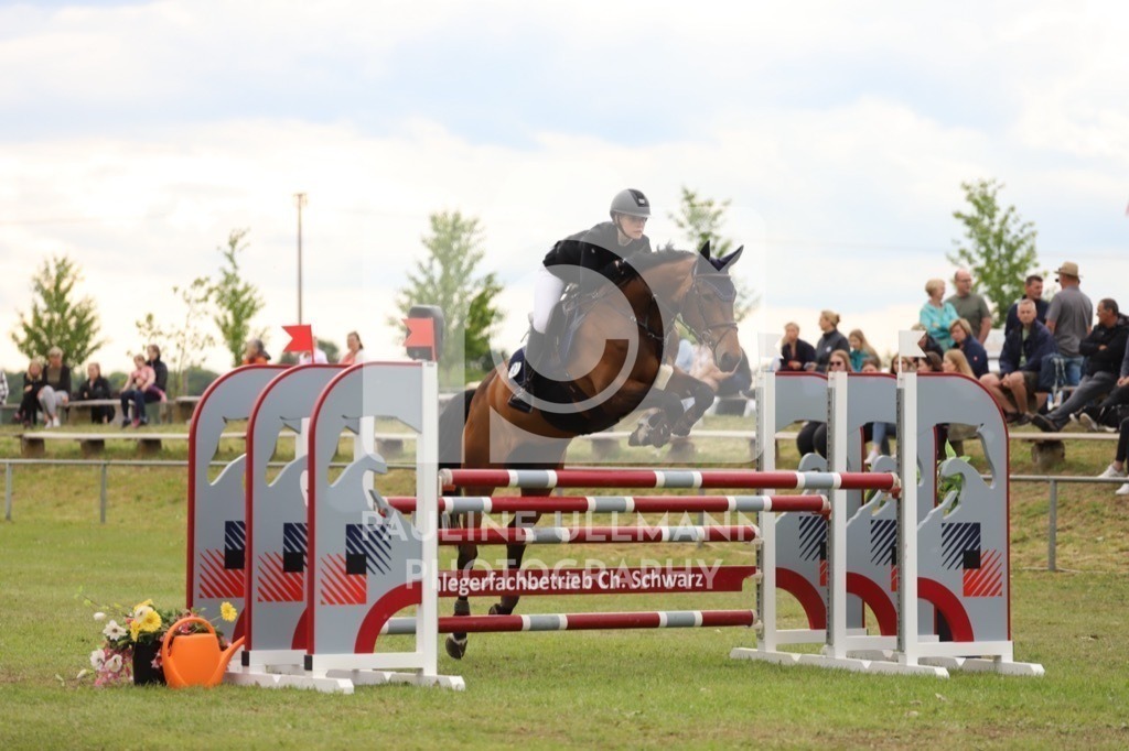 IMG_8068 | Pauline Ullmann Photography - Realisiert mit Pictrs.com