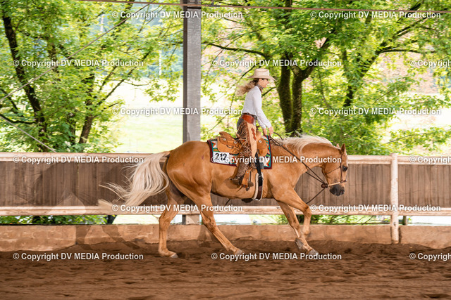 Erbach Tag 4-546 | dv-media-shop - Realized with Pictrs.com