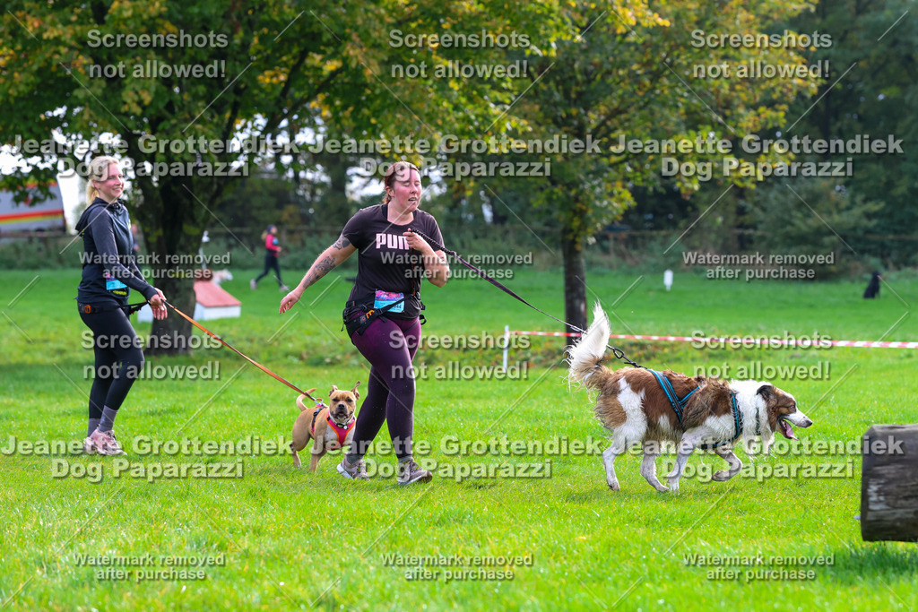 Dog Paparazzi -  SD1026-2172 | Dog Paparazzi Jeanette Grottendiek Fotografie & Videografie - Realisiert mit Pictrs.com