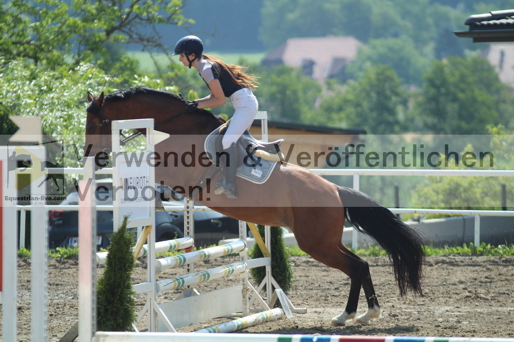 IMG_3317 | equestrian-live-com