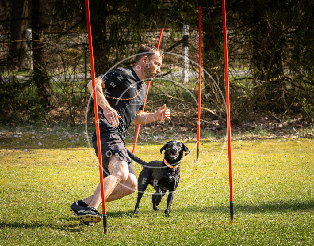 Pfotenfotografie_DV3A1668 | Hundefotografie, Tierfotograf, Pfotenfotografie, Fotoshooting Hund, Hunde Portrait, Hundesport, Hundeportraits, Heideshooting, Hunde, Sportfotograf, Hundefotograf, Turnierhundsport, THS,  - Realisiert mit Pictrs.com