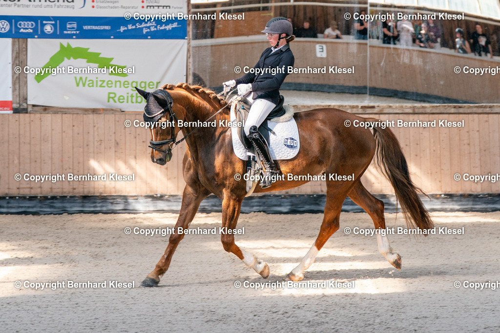 2A902282 | foto-team-bernhard - Realisiert mit Pictrs.com