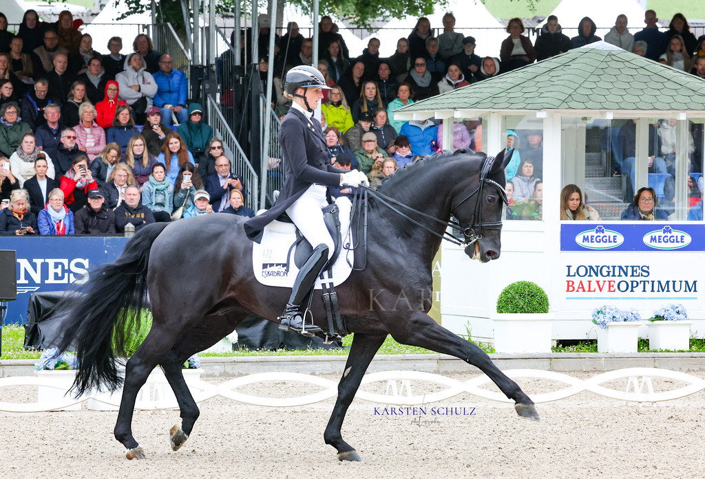 1B3A7303 | Reitsport Reiten