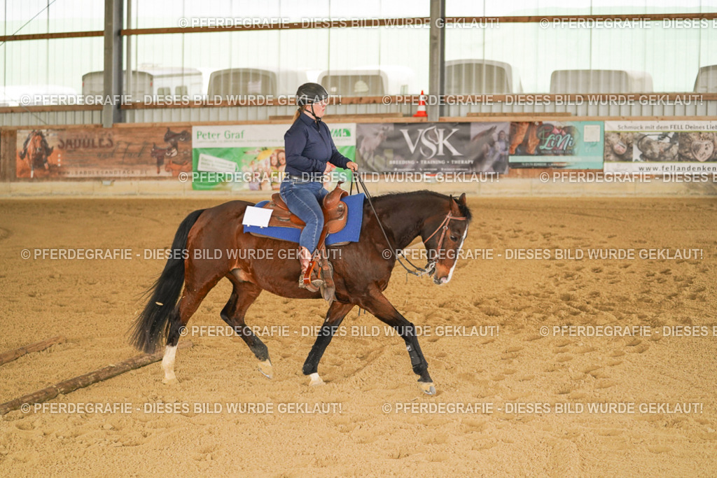 DSC04402 | Pferdegrafie