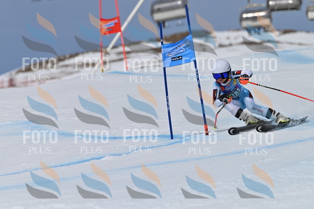 BGV_6200 | holidayphoto