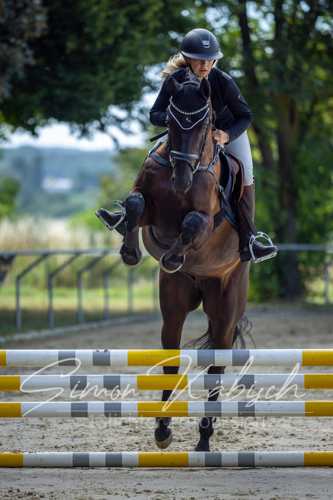 20260704-_3LI7009 | Tierfotografie Pferde, Hunde, Katzen, Haustiere.
Turnierfotografie Reitturniere, Reiten, Springreiten, Dressur in Hanau, dem Main-Kinzig-Kreis und dem Rhein-Main- Gebiet um Frankfurt