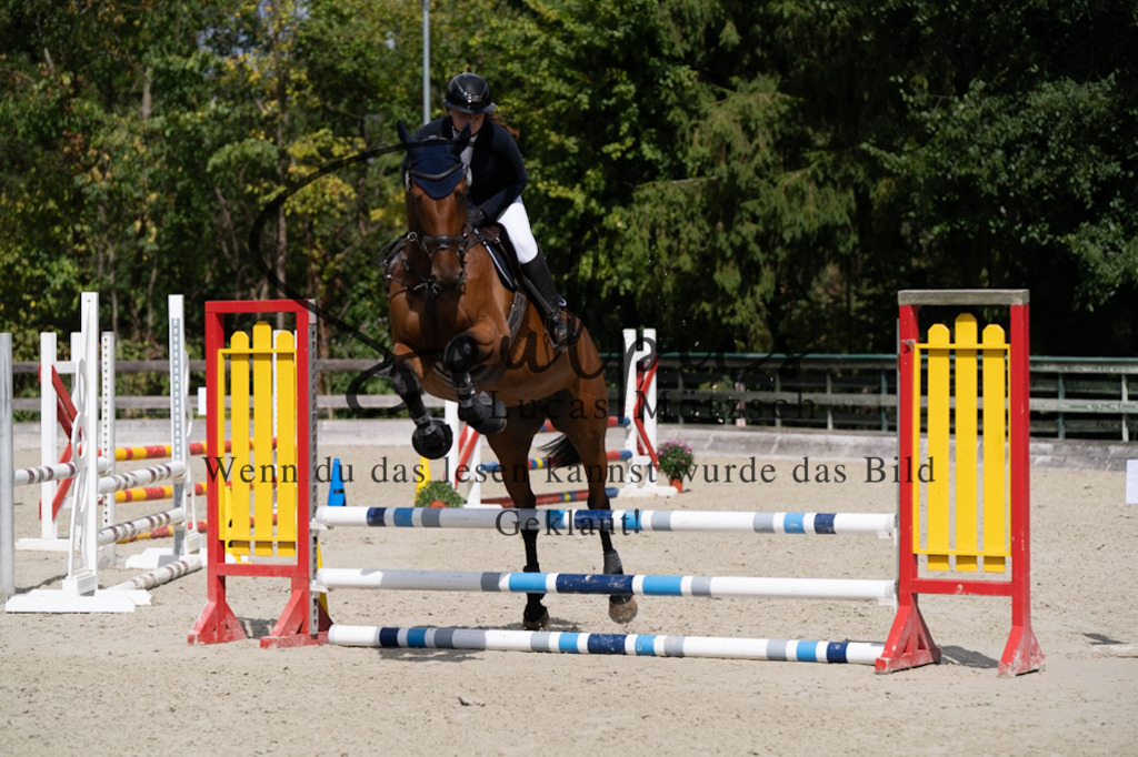 A7V07363 | Turnier/Reitfotograf