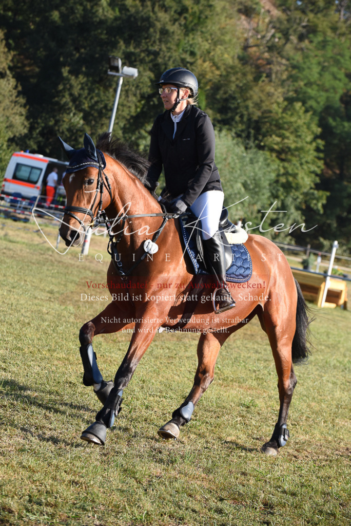 DSC_4982 | Pferde- und Turnierfotografie in Westsachsen. Pferdeportraits, Auftragszeichnungen und intuitive Kunst.
