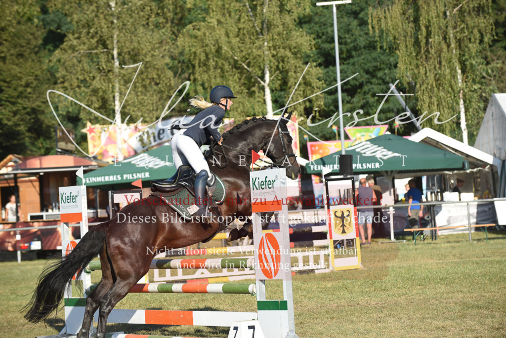 DSC_4953 | Pferde- und Turnierfotografie in Westsachsen. Pferdeportraits, Auftragszeichnungen und intuitive Kunst.